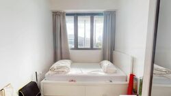 The Rise @ Oxley (D9), Condominium #460931901